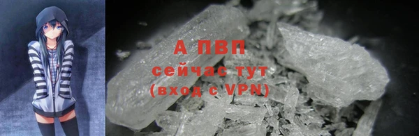 СК Вяземский
