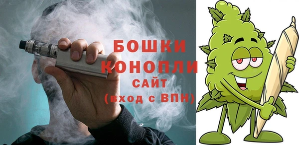 СК Вяземский